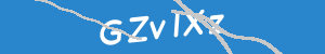 Introduzca el texto que aparece en la imagen