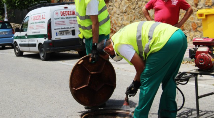 Mañana día 14, desinsectación en Zonas Comunes