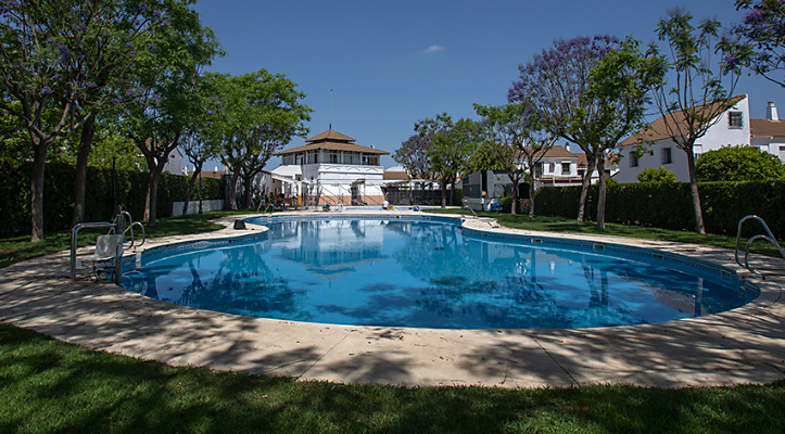 Alianzas extraviadas en la piscina