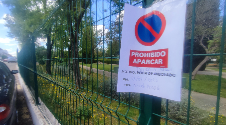 Desbroce en las puertas 1 y 9